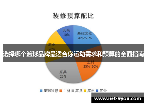 选择哪个篮球品牌最适合你运动需求和预算的全面指南