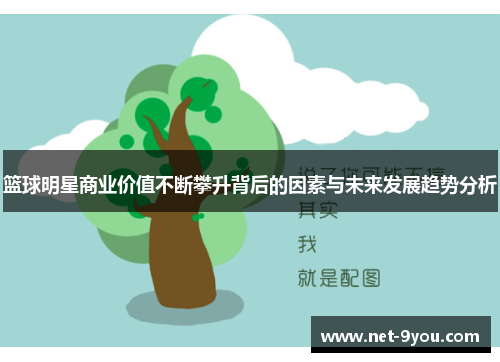 篮球明星商业价值不断攀升背后的因素与未来发展趋势分析