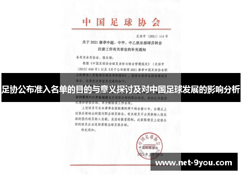 足协公布准入名单的目的与意义探讨及对中国足球发展的影响分析