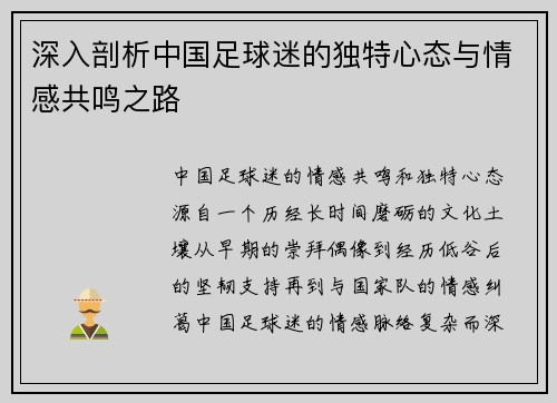 深入剖析中国足球迷的独特心态与情感共鸣之路