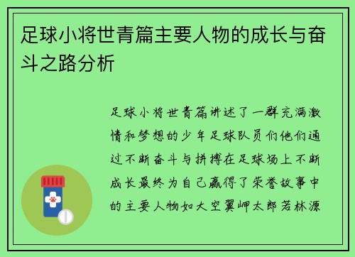 足球小将世青篇主要人物的成长与奋斗之路分析